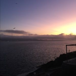 Meet your Posher, Presley